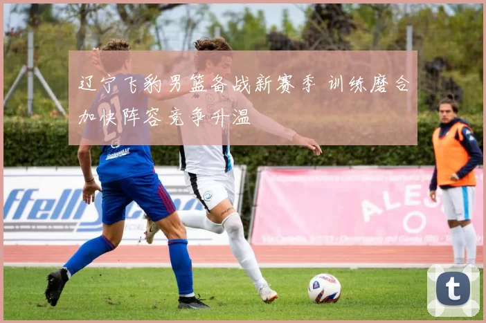 辽宁飞豹男篮备战新赛季 训练磨合加快阵容竞争升温