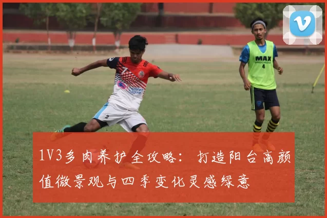 1V3多肉养护全攻略：打造阳台高颜值微景观与四季变化灵感绿意