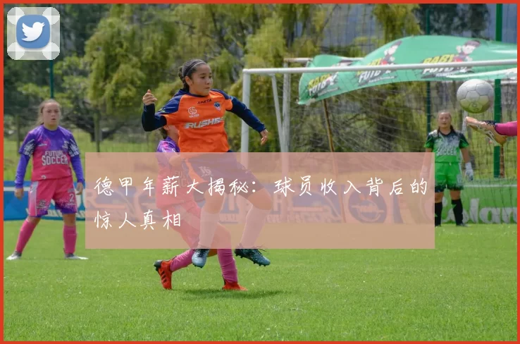 德甲年薪大揭秘：球员收入背后的惊人真相