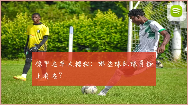 德甲名单大揭秘：哪些球队球员榜上有名？