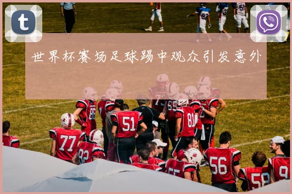 世界杯赛场足球踢中观众引发意外