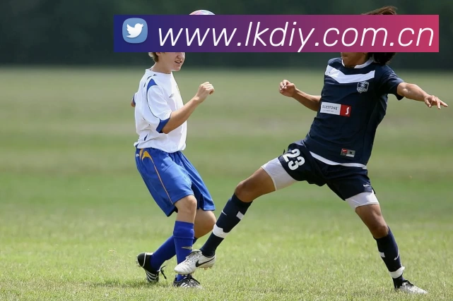 开云(中国)Kaiyun·官方网站 - 登录入口平台生态图