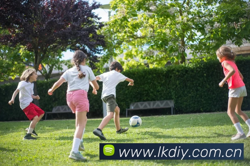 开云(中国)Kaiyun·官方网站 - 登录入口APP 封面图